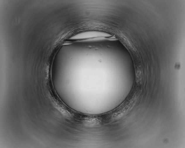 X0000100210454200806131256