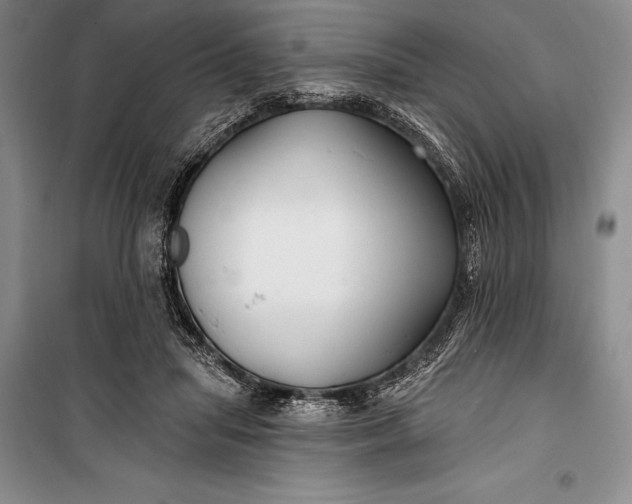 X0000100210455200806131256