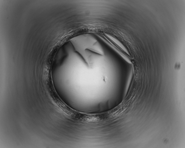 X0000100210456200806131256