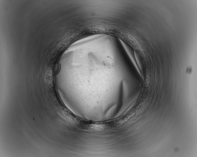 X0000100210457200806131256