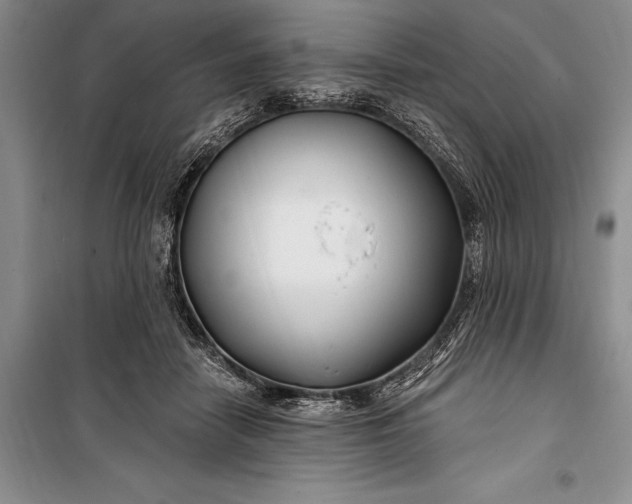 X0000100210458200806131256