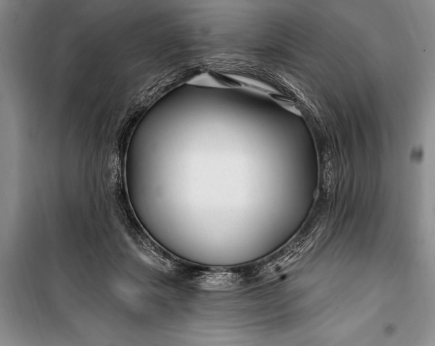 X0000100210459200806131256