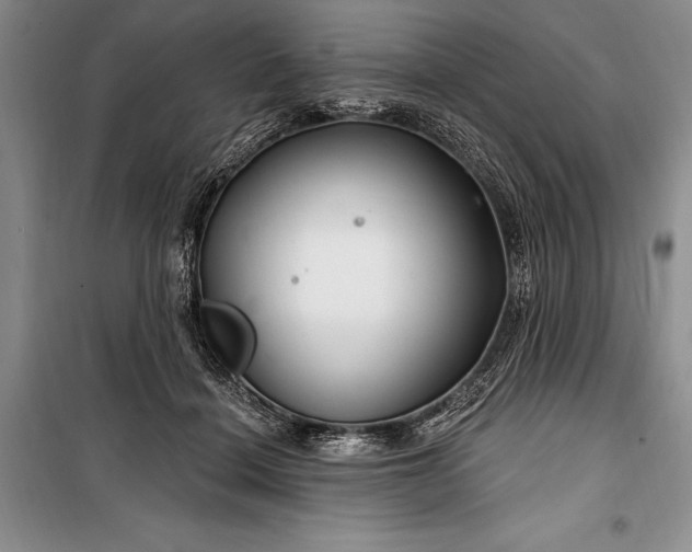 X0000100210460200806131256