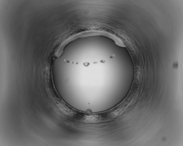 X0000100210461200806131256