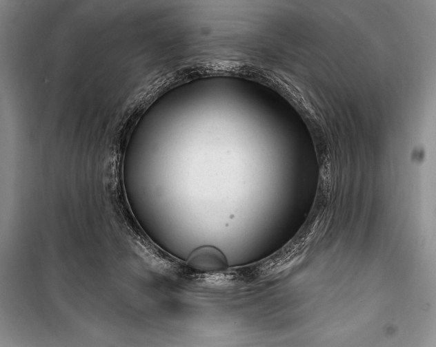 X0000100210462200806131256