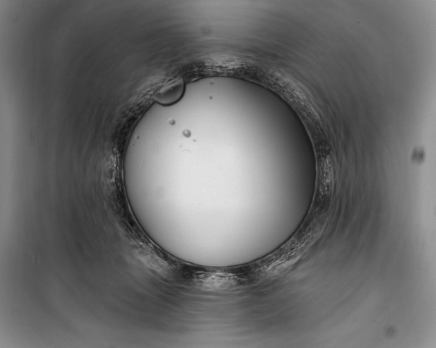 X0000100210463200806131256