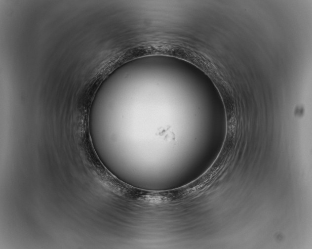 X0000100210464200806131256