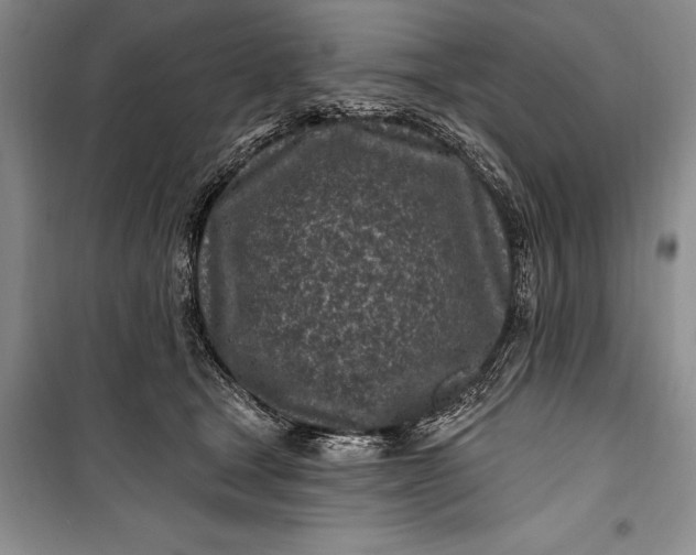 X0000100210465200806131256