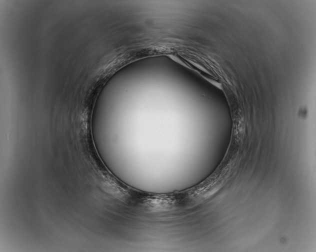 X0000100210466200806131256