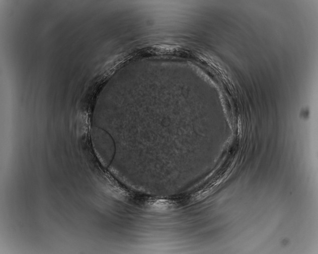 X0000100210467200806131256