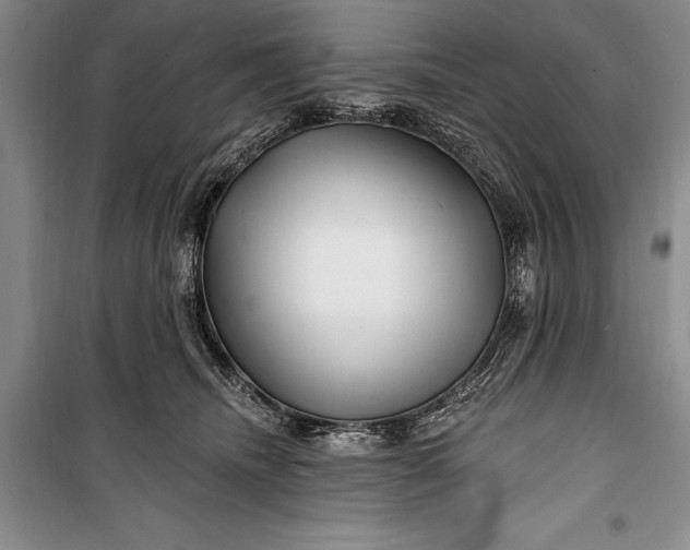 X0000100210468200806131256