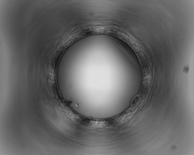 X0000100210469200806131256