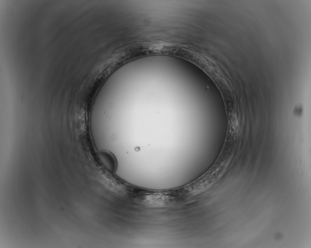 X0000100210470200806131256