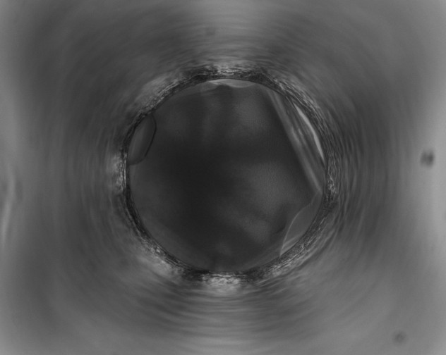 X0000100210471200806131256