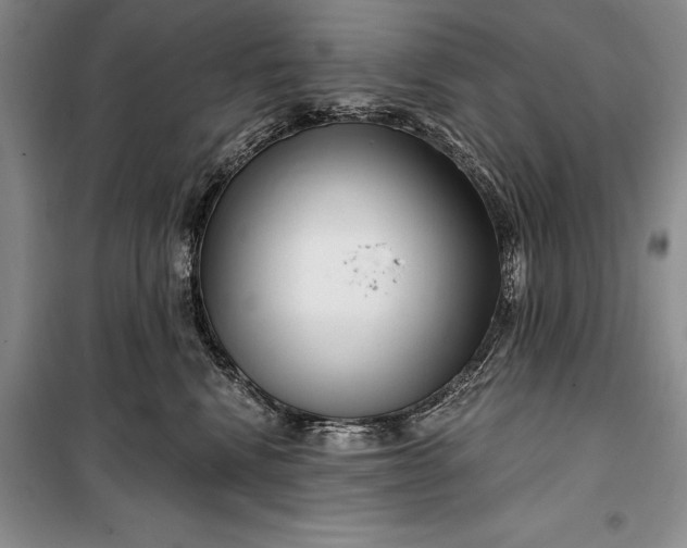 X0000100210472200806131256