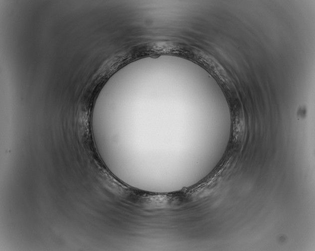 X0000100210473200806131256