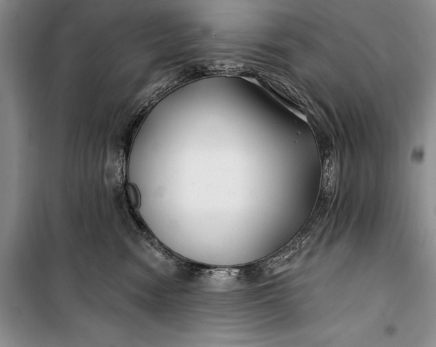 X0000100210474200806131256