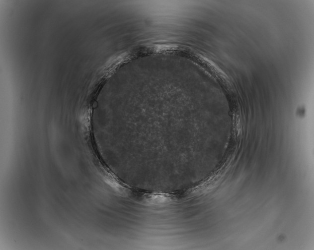 X0000100210475200806131256