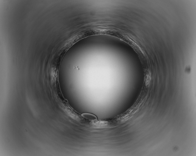 X0000100210476200806131256