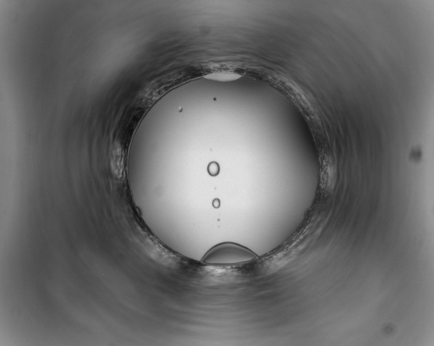 X0000100210477200806131256