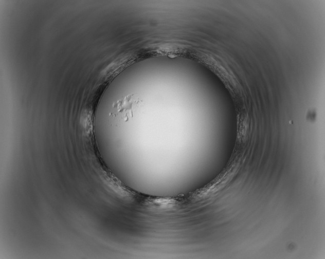 X0000100210478200806131256