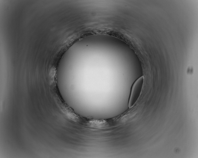 X0000100210480200806131256