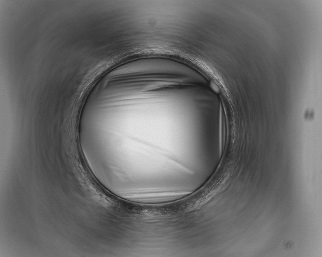 X0000100210481200806131255