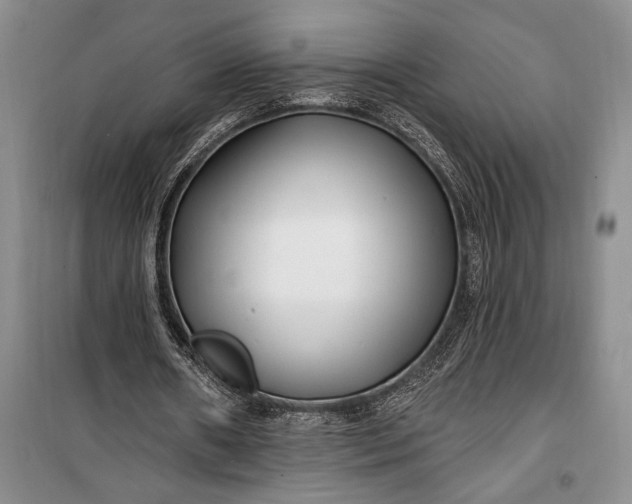 X0000100210482200806131255