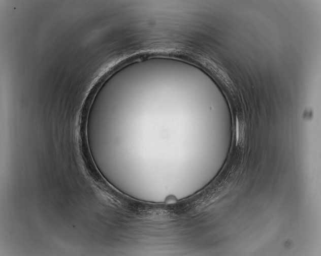 X0000100210483200806131255