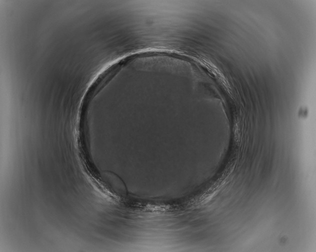 X0000100210484200806131255