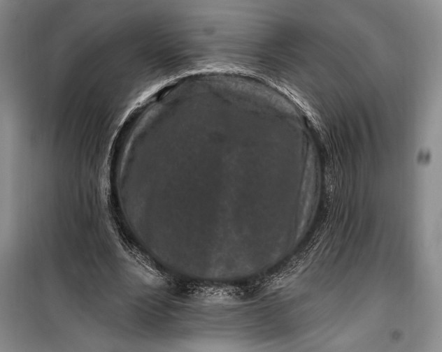 X0000100210488200806131255