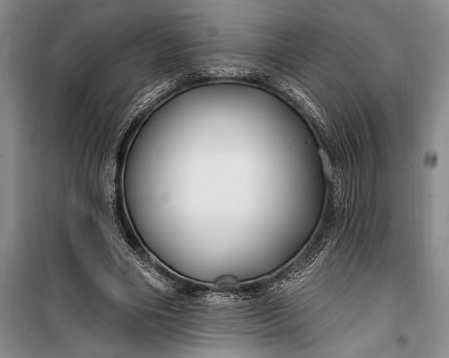 X0000100210490200806131255