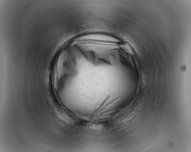 X0000100210491200806131255