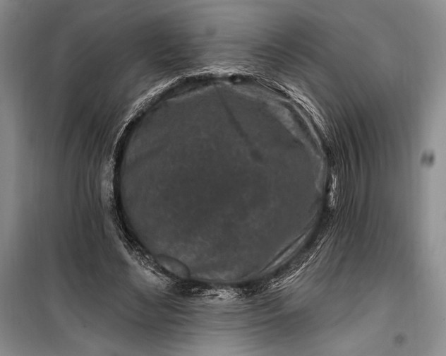 X0000100210492200806131255