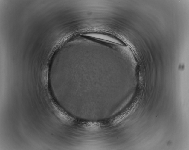 X0000100210493200806131255