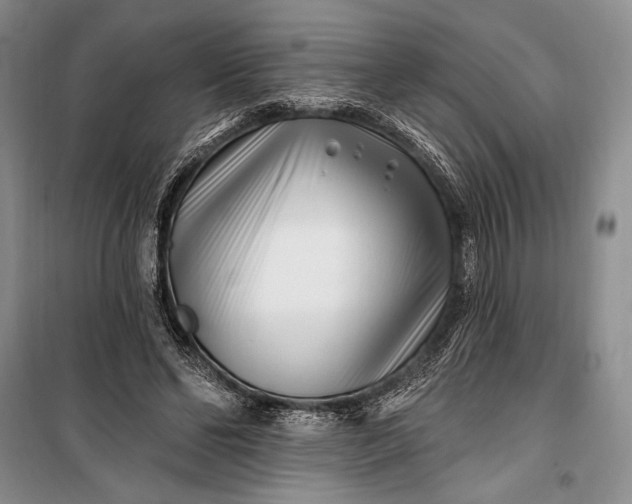 X0000100210494200806131255