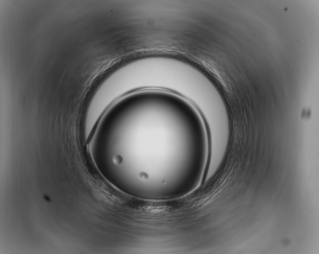 X0000100210495200806131255