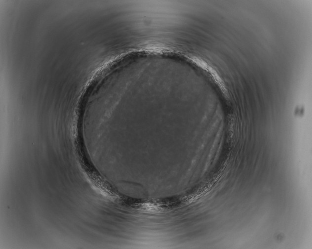 X0000100210496200806131255