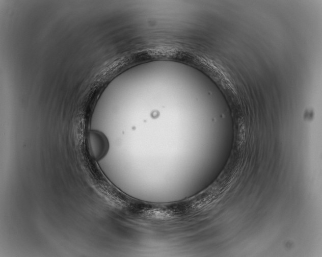 X0000100210498200806131255