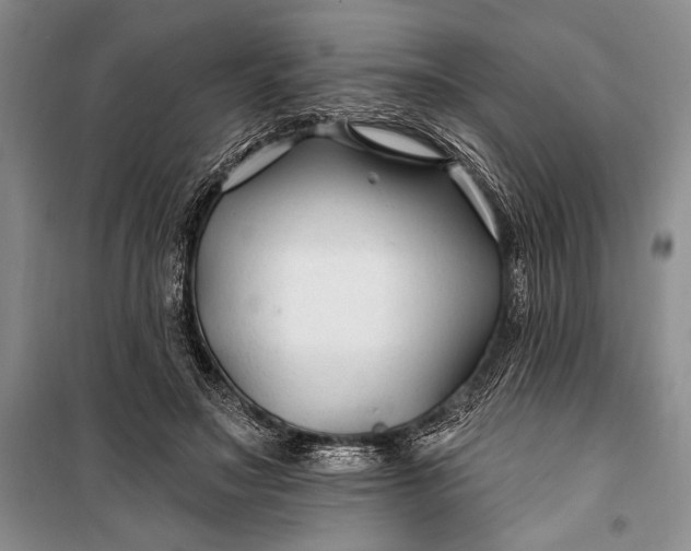 X0000100210499200806131255