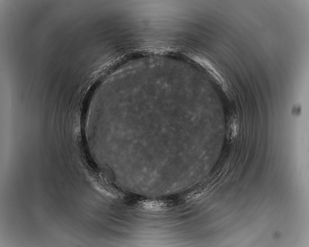 X0000100210500200806131255