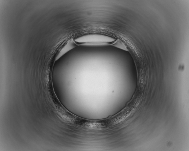 X0000100210501200806131255