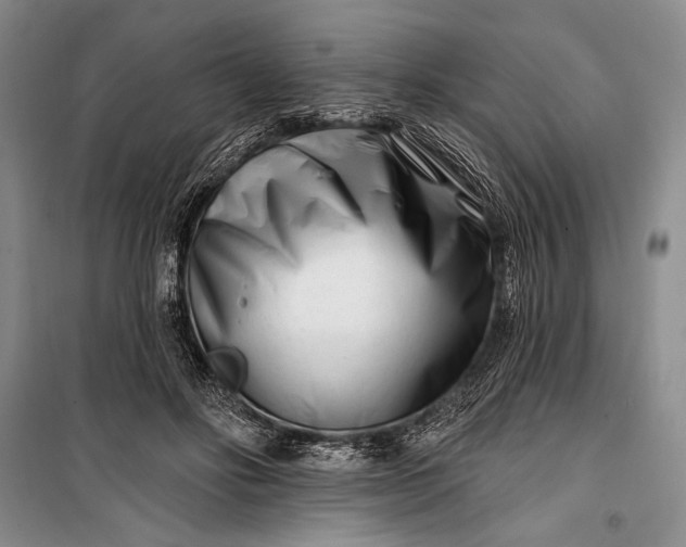 X0000100210502200806131255