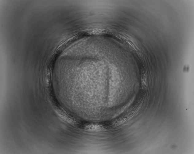 X0000100210503200806131255