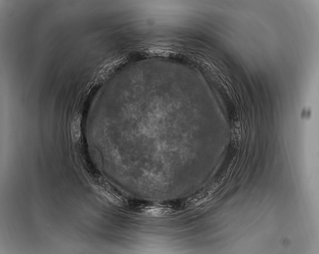 X0000100210504200806131255