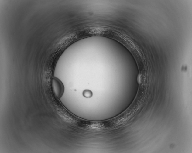 X0000100210505200806131255