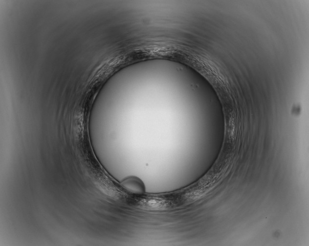 X0000100210506200806131255