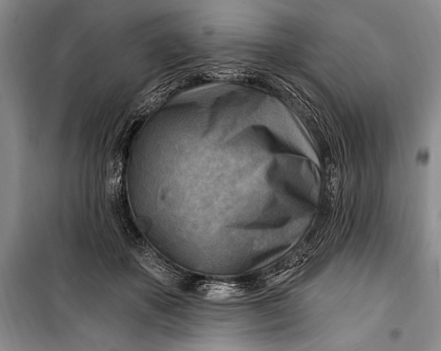 X0000100210507200806131255