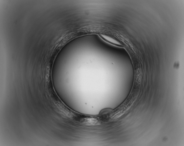 X0000100210509200806131255