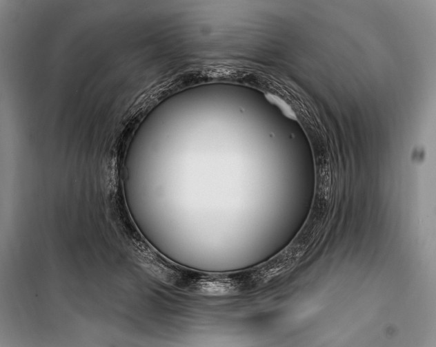 X0000100210510200806131255